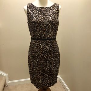 Ann Taylor Loft dress